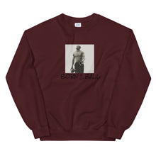 Load image into Gallery viewer, BORN TO BALL ( D Hall Collection ) Sweatshirt