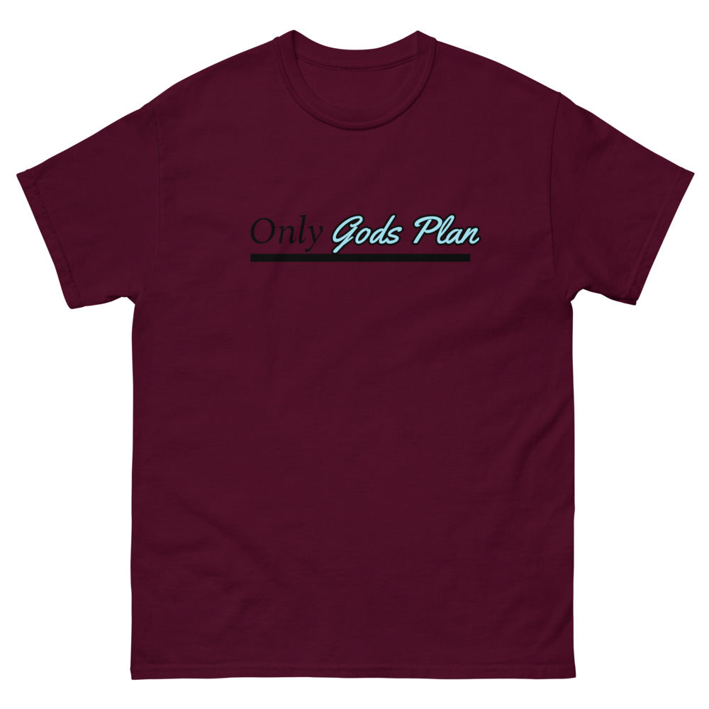 Only Gods Plan Men's heavyweight tee